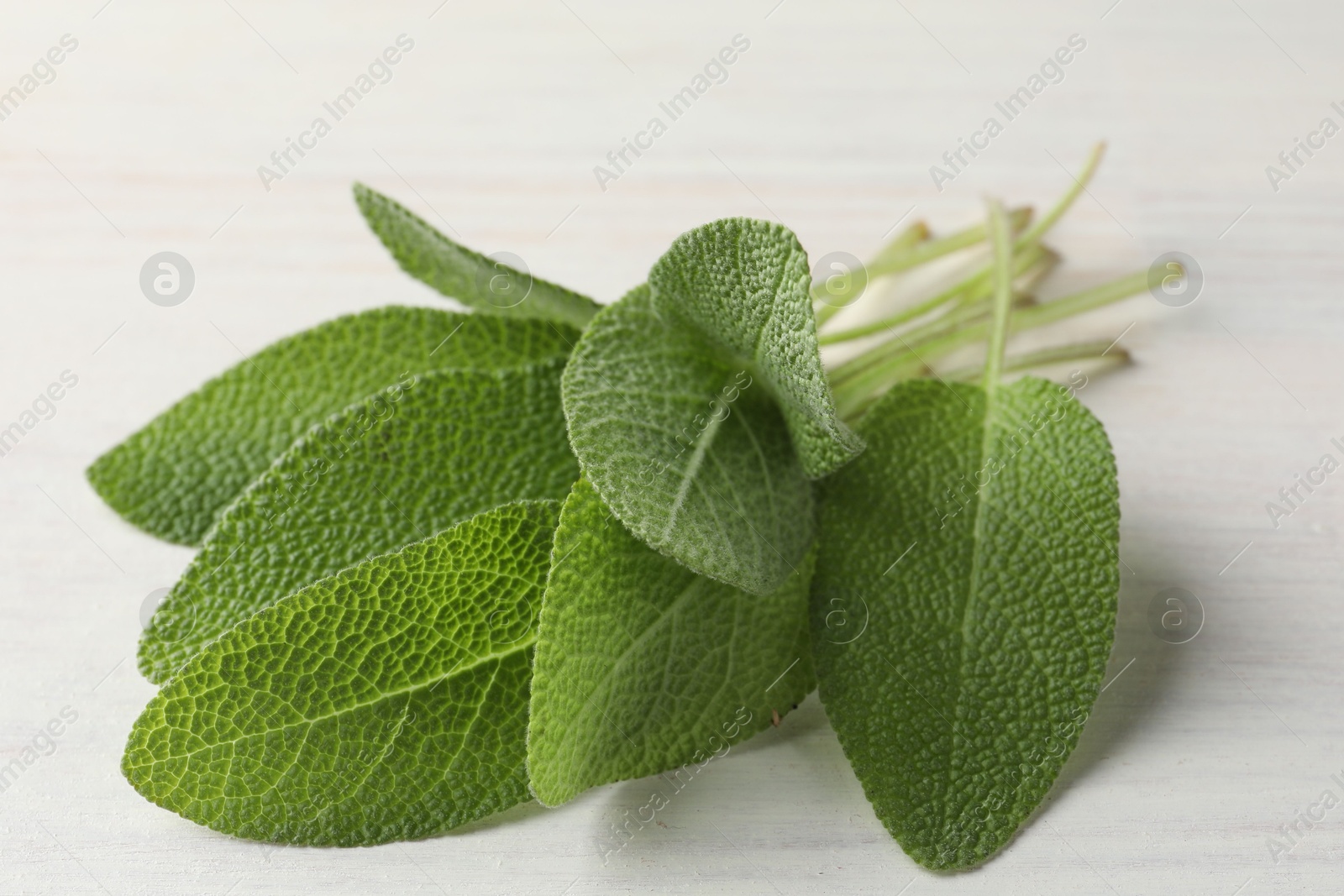 Photo of Fresh sage leaves on light wooden table, closeup