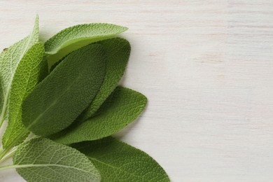 Photo of Fresh sage leaves on light wooden table, top view. Space for text