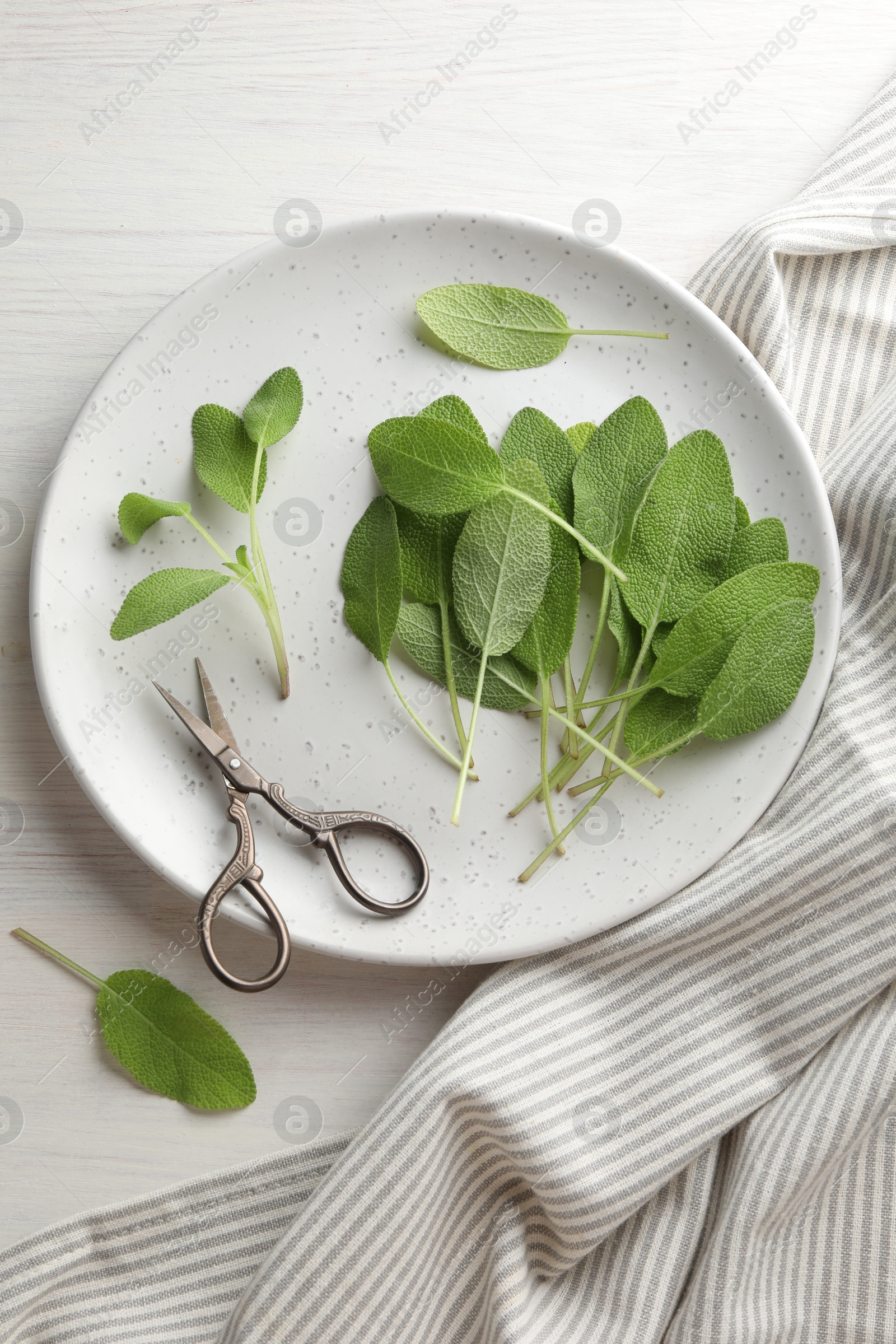 Photo of Fresh sage leaves and scissors on light wooden table, flat lay