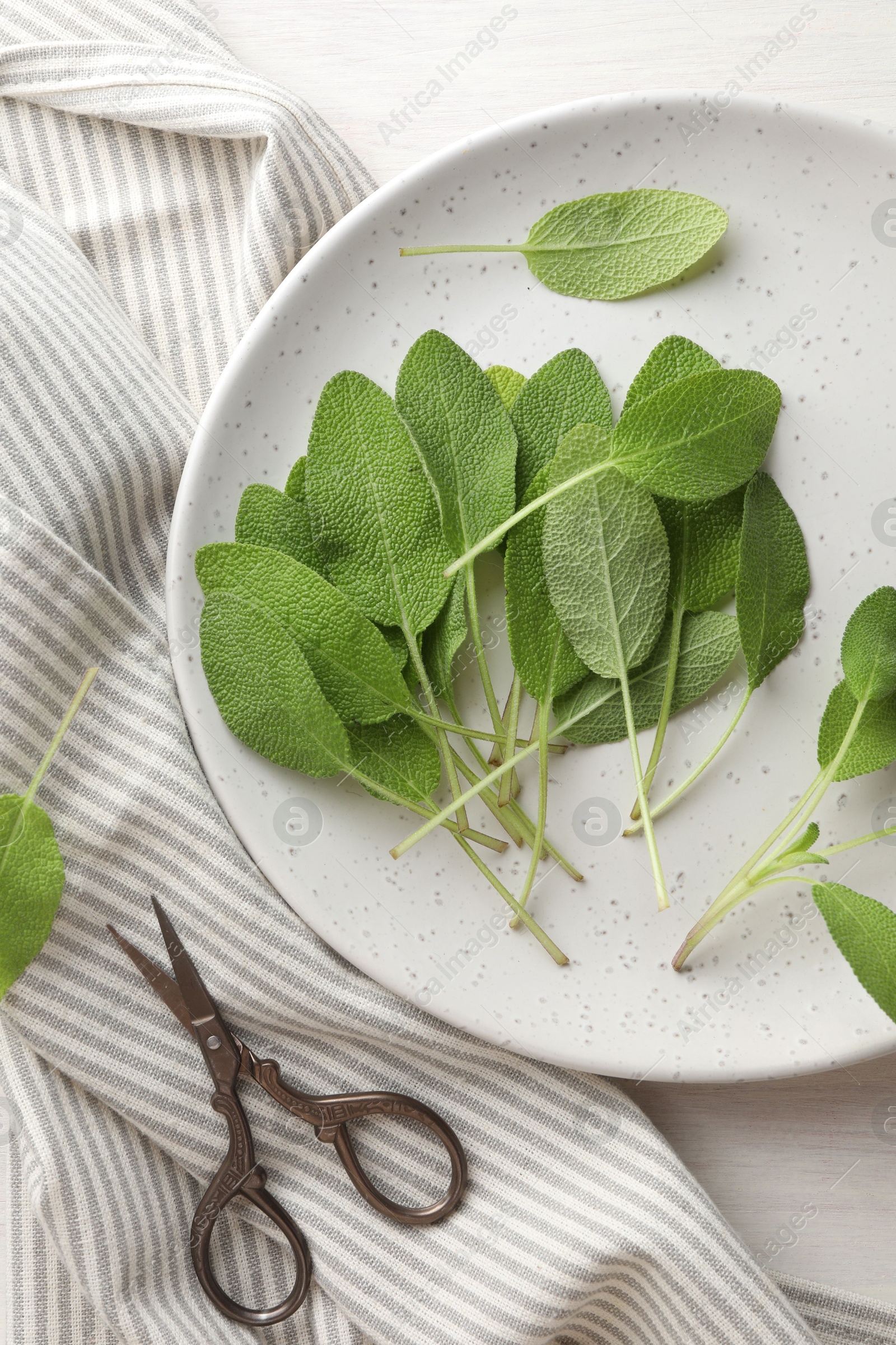 Photo of Fresh sage leaves and scissors on light table, flat lay