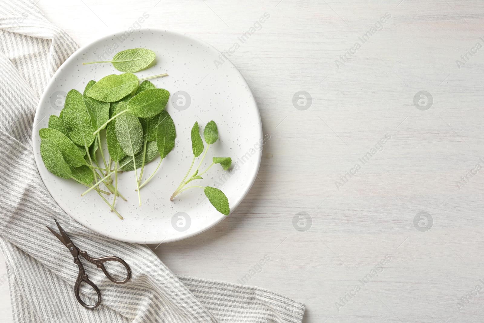 Photo of Fresh sage leaves and scissors on light wooden table, flat lay. Space for text