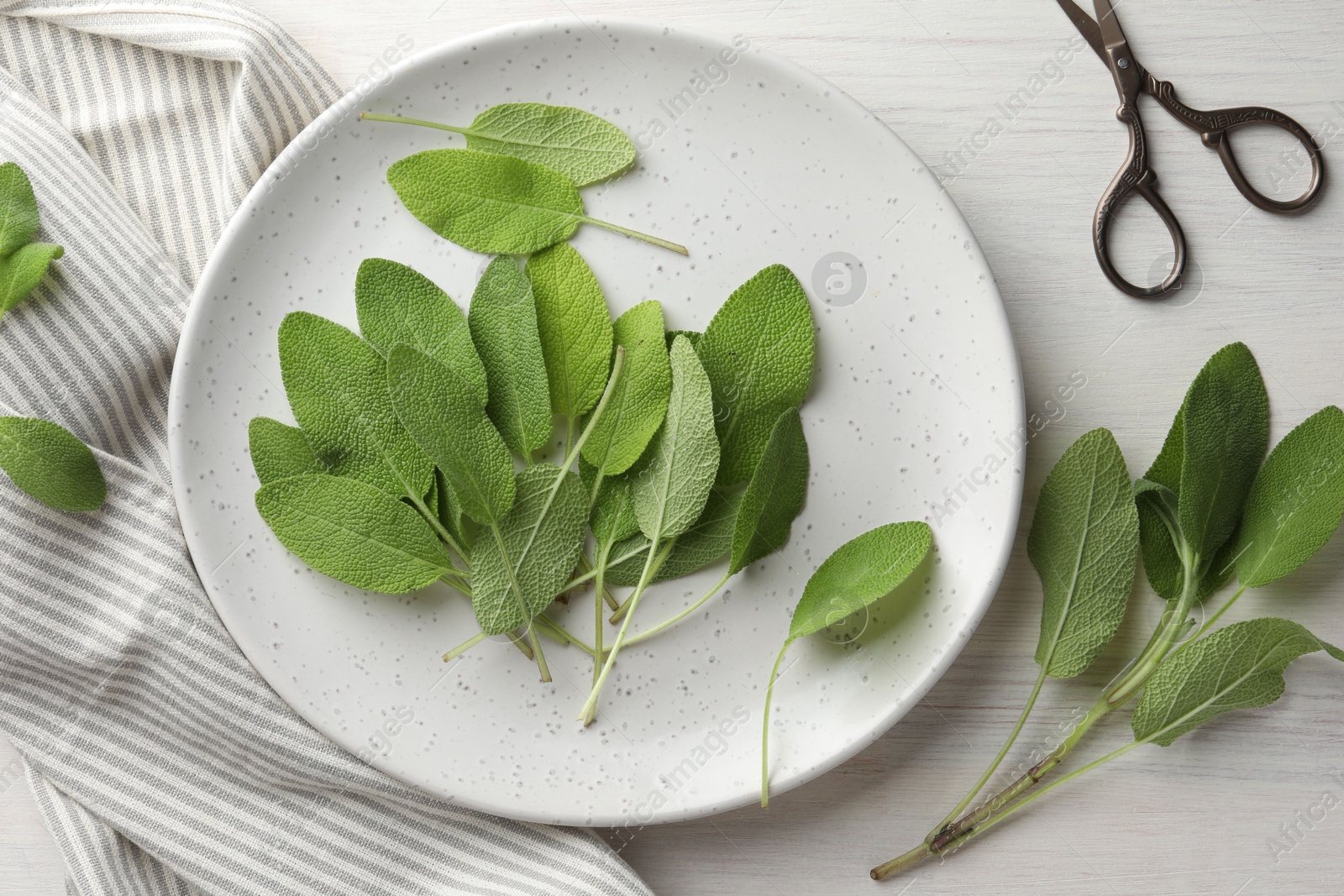 Photo of Fresh sage leaves, scissors and napkin on light wooden table, flat lay