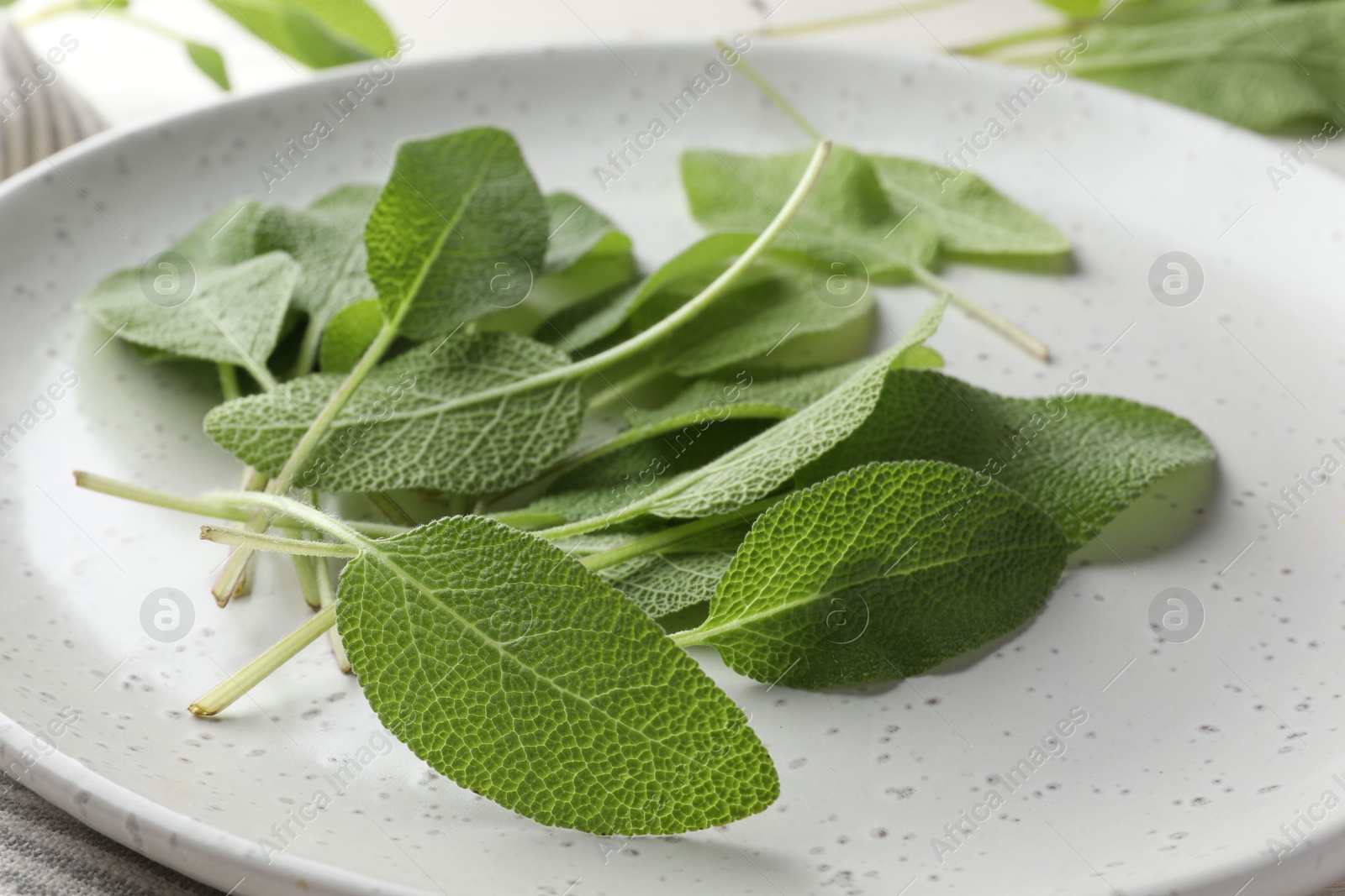 Photo of Many fresh sage leaves on table, closeup