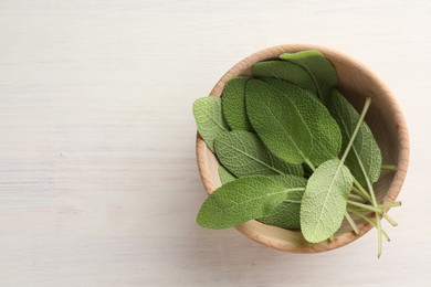 Photo of Fresh sage leaves in bowl on light wooden table, top view. Space for text