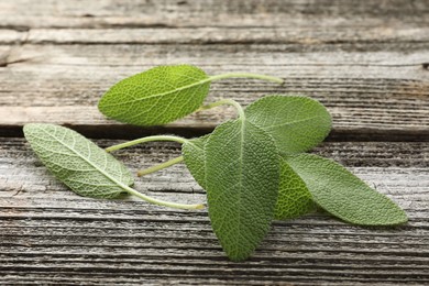 Photo of Fresh sage leaves on wooden table, closeup