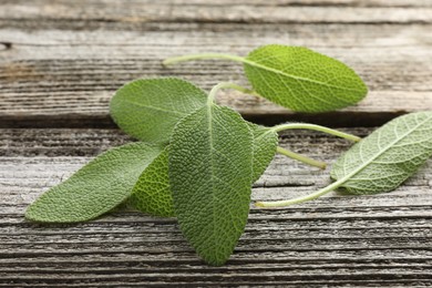 Photo of Fresh sage leaves on wooden table, closeup