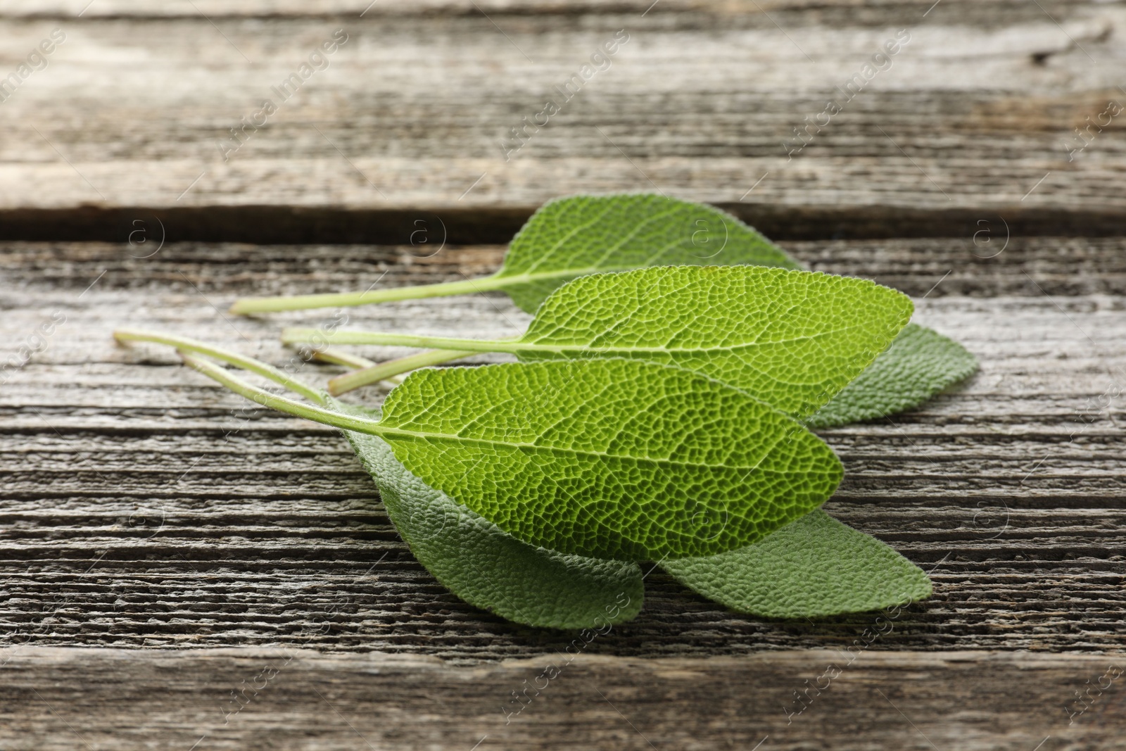 Photo of Fresh sage leaves on wooden table, closeup