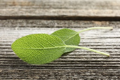 Photo of Fresh sage leaves on wooden table, closeup