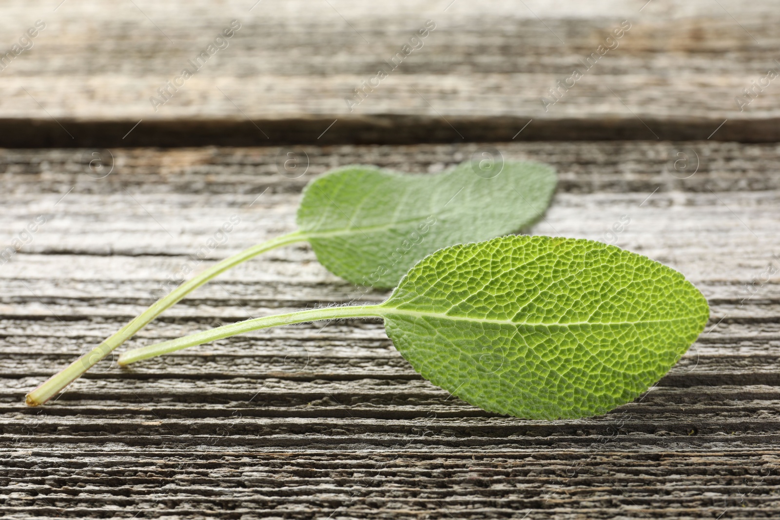 Photo of Fresh sage leaves on wooden table, closeup