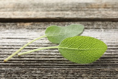 Photo of Fresh sage leaves on wooden table, closeup