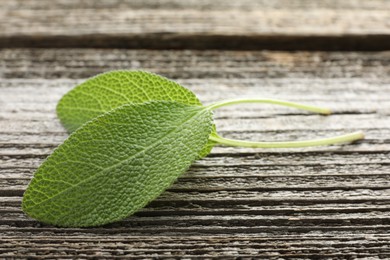 Photo of Fresh sage leaves on wooden table, closeup