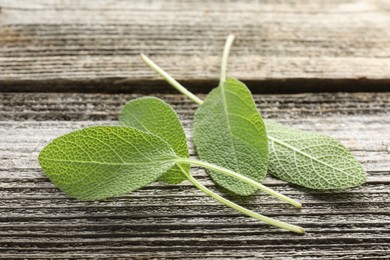 Photo of Fresh sage leaves on wooden table, closeup