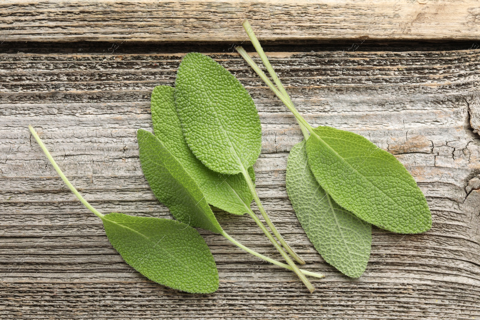 Photo of Fresh sage leaves on wooden table, top view