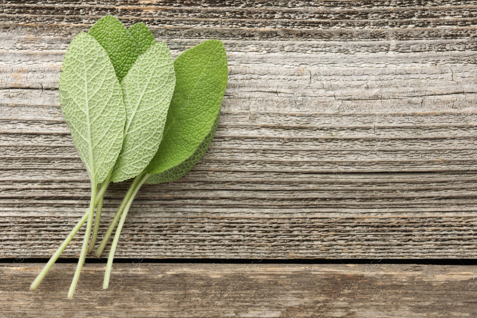 Photo of Fresh sage leaves on wooden table, top view. Space for text