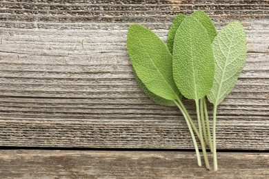 Photo of Fresh sage leaves on wooden table, top view. Space for text