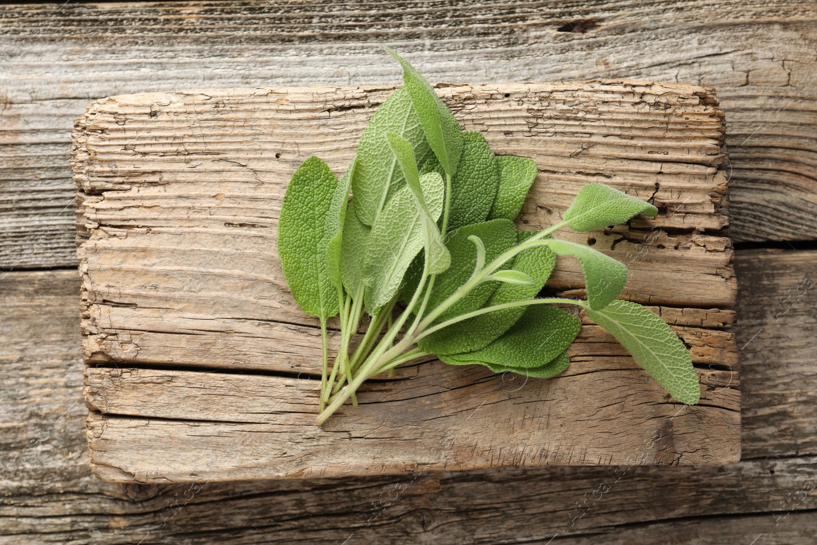 Photo of Fresh sage leaves on wooden table, top view