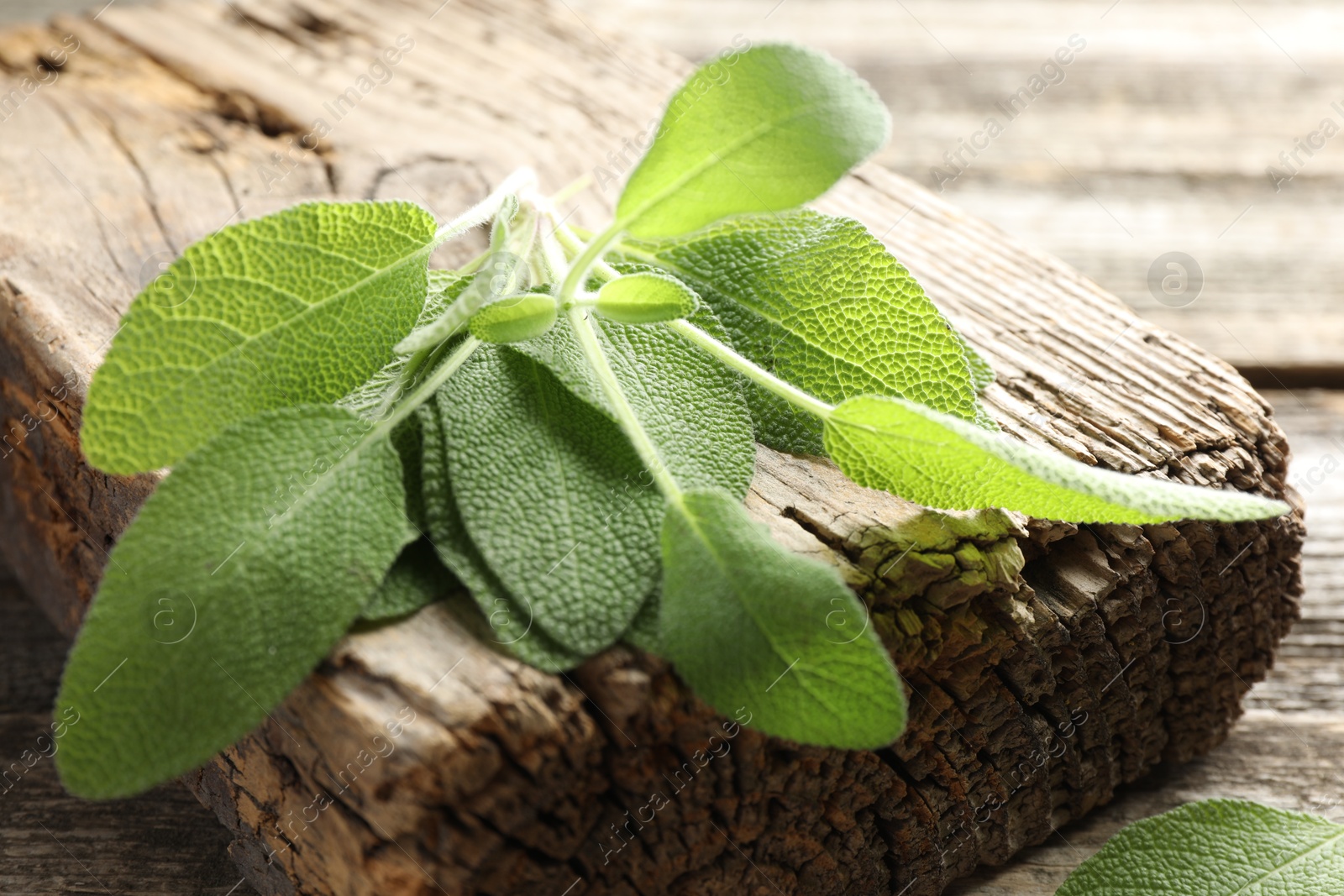 Photo of Fresh sage leaves on wooden table, closeup