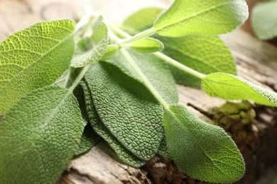 Photo of Many fresh sage leaves on wood, closeup