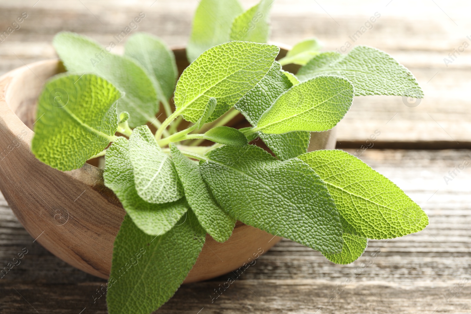 Photo of Fresh sage leaves in bowl on wooden table, closeup