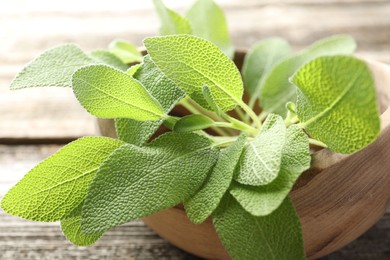 Photo of Fresh sage leaves in bowl on wooden table, closeup