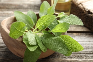 Photo of Fresh sage leaves in bowl on wooden table, closeup