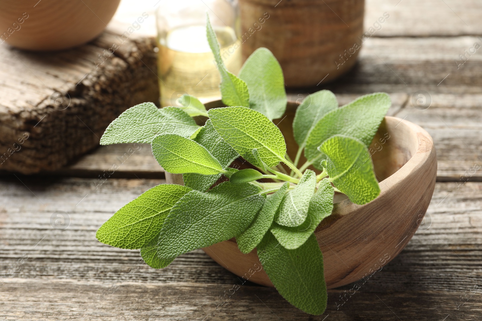 Photo of Fresh sage leaves in bowl on wooden table, closeup