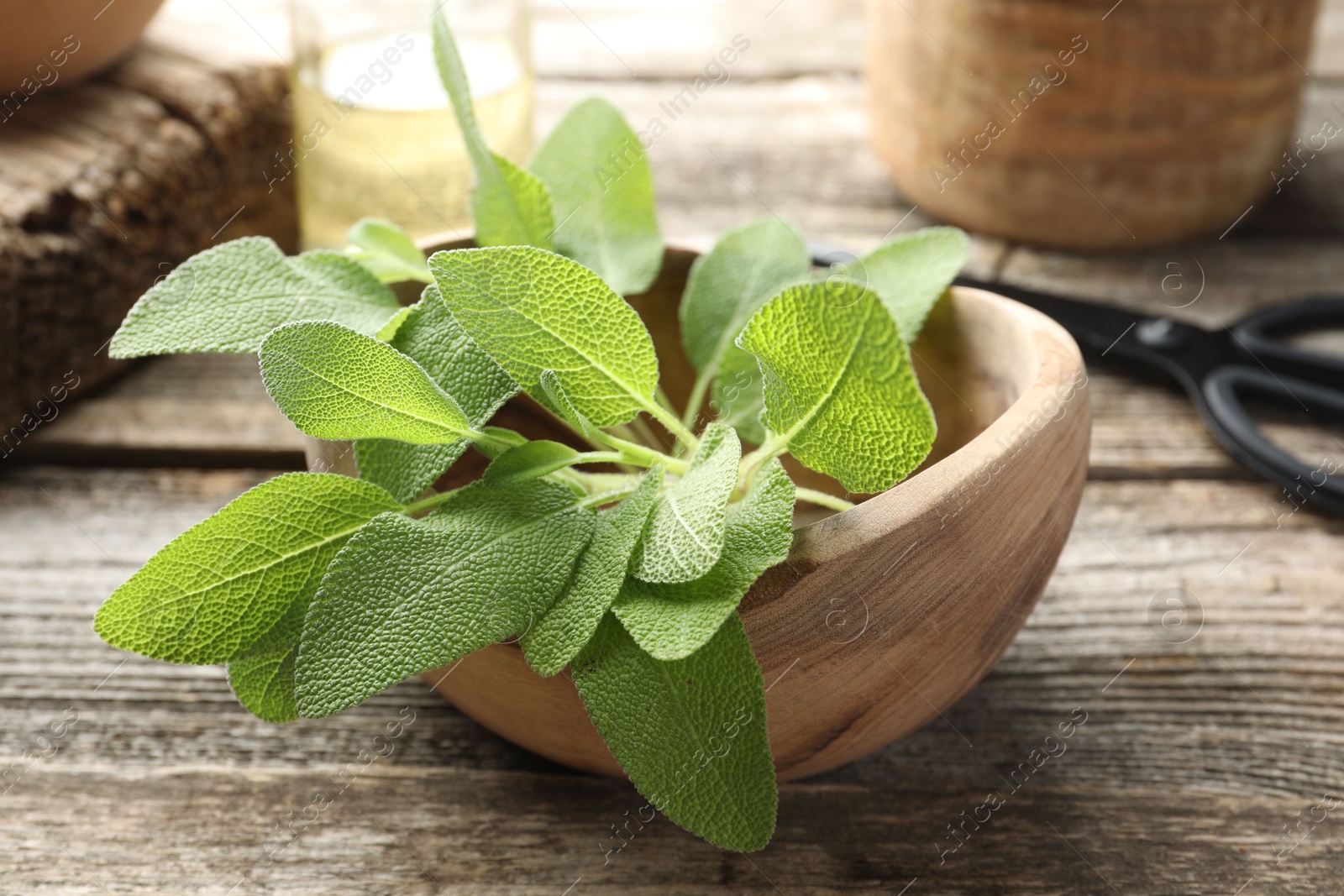 Photo of Fresh sage leaves in bowl on wooden table, closeup