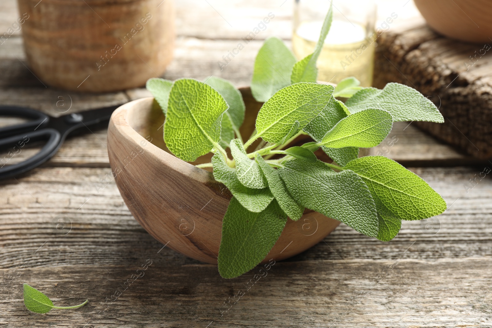 Photo of Fresh sage leaves in bowl on wooden table, closeup