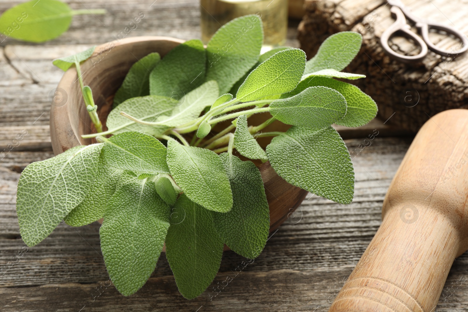 Photo of Fresh sage leaves, mortar and pestle on wooden table, closeup