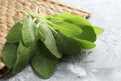 Photo of Fresh sage leaves on gray textured table, closeup