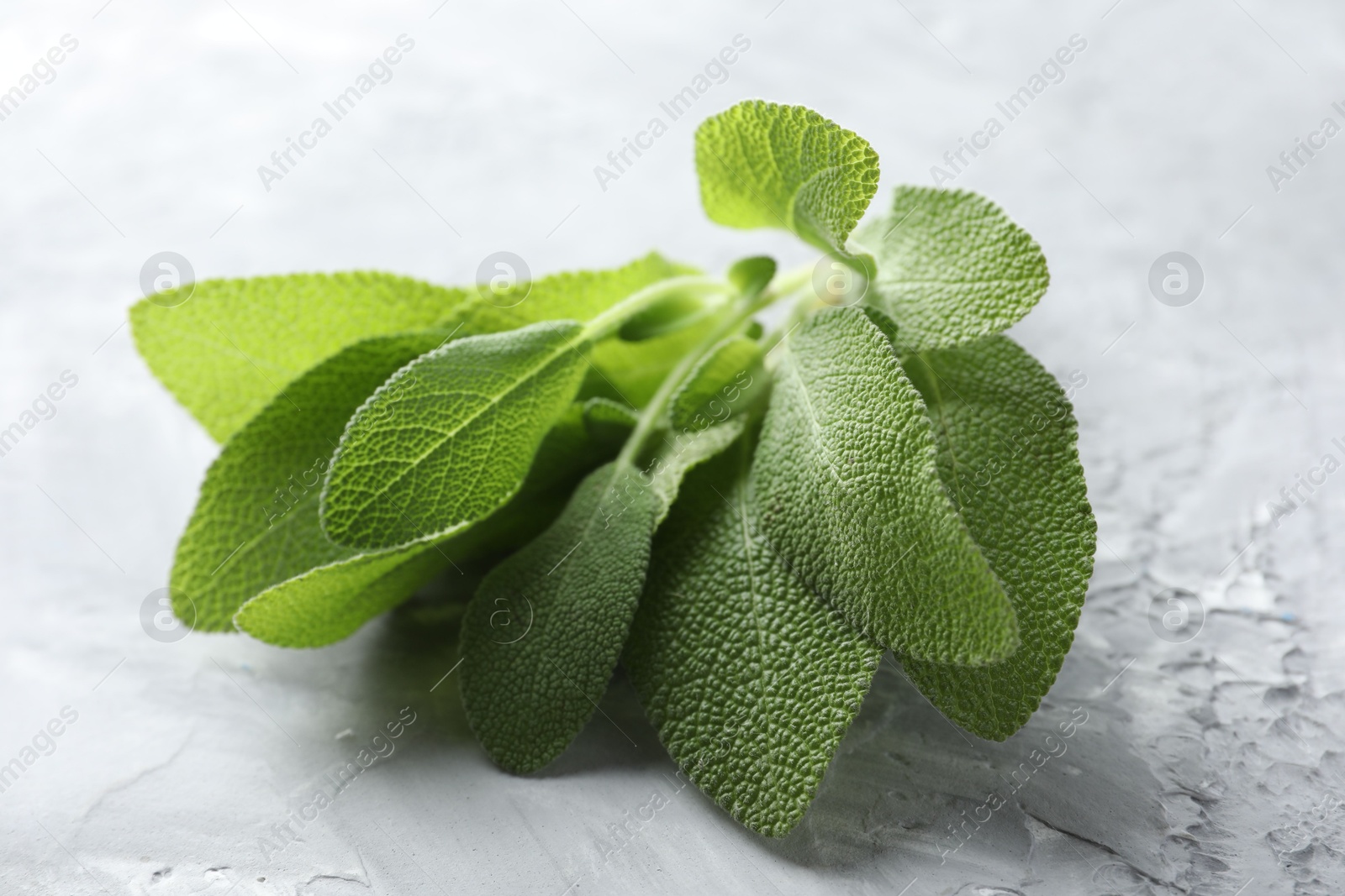 Photo of Fresh sage leaves on gray textured table, closeup