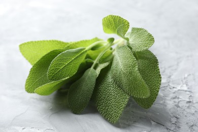 Photo of Fresh sage leaves on gray textured table, closeup