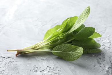 Photo of Fresh sage leaves on gray textured table, closeup