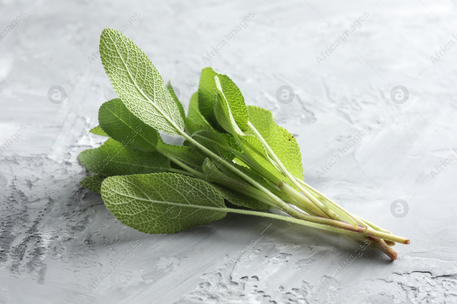 Photo of Fresh sage leaves on gray textured table, closeup