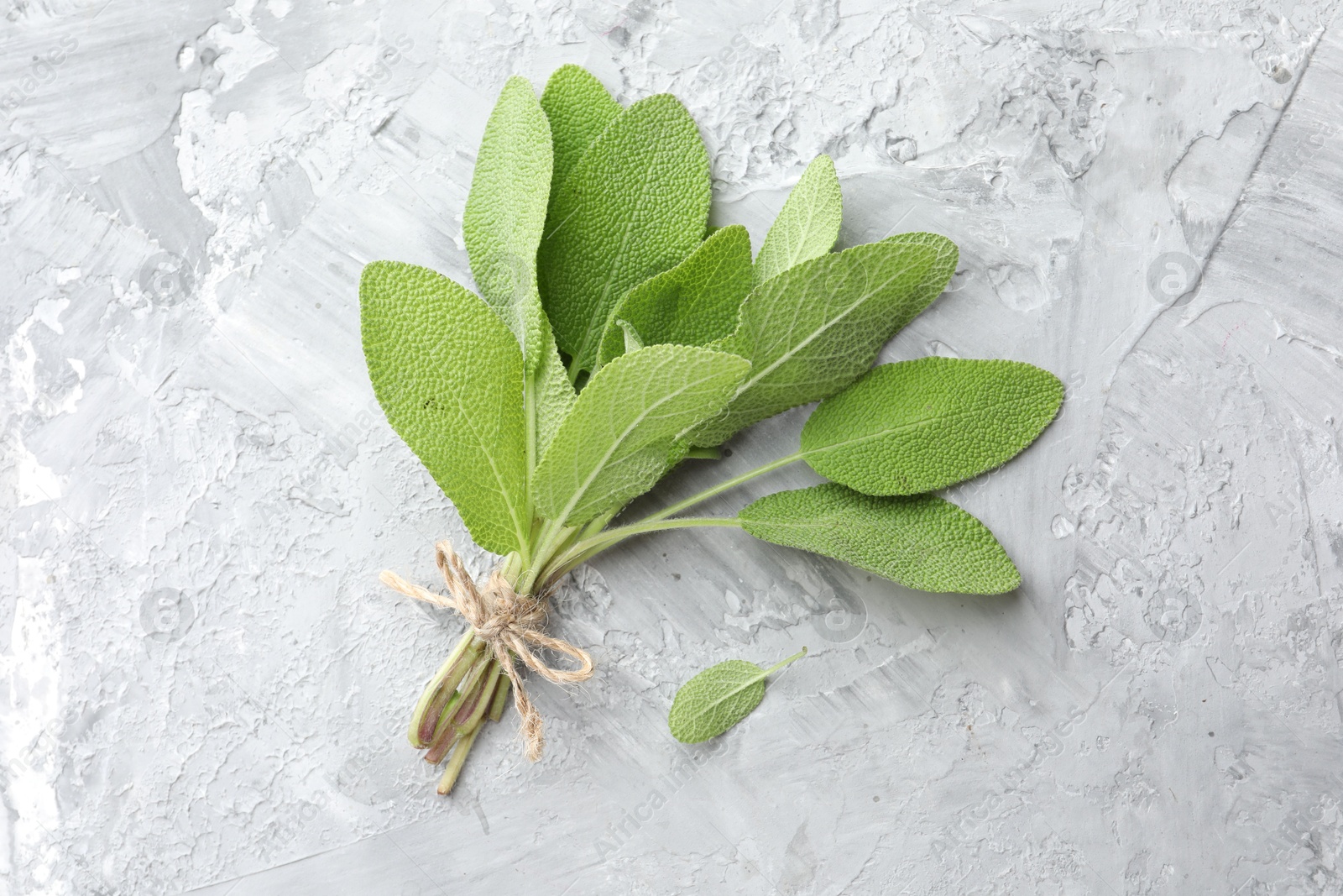 Photo of Bunch of fresh sage leaves on gray textured table, top view