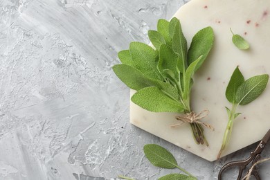 Photo of Bunch of fresh sage leaves and scissors on gray textured table, flat lay. Space for text