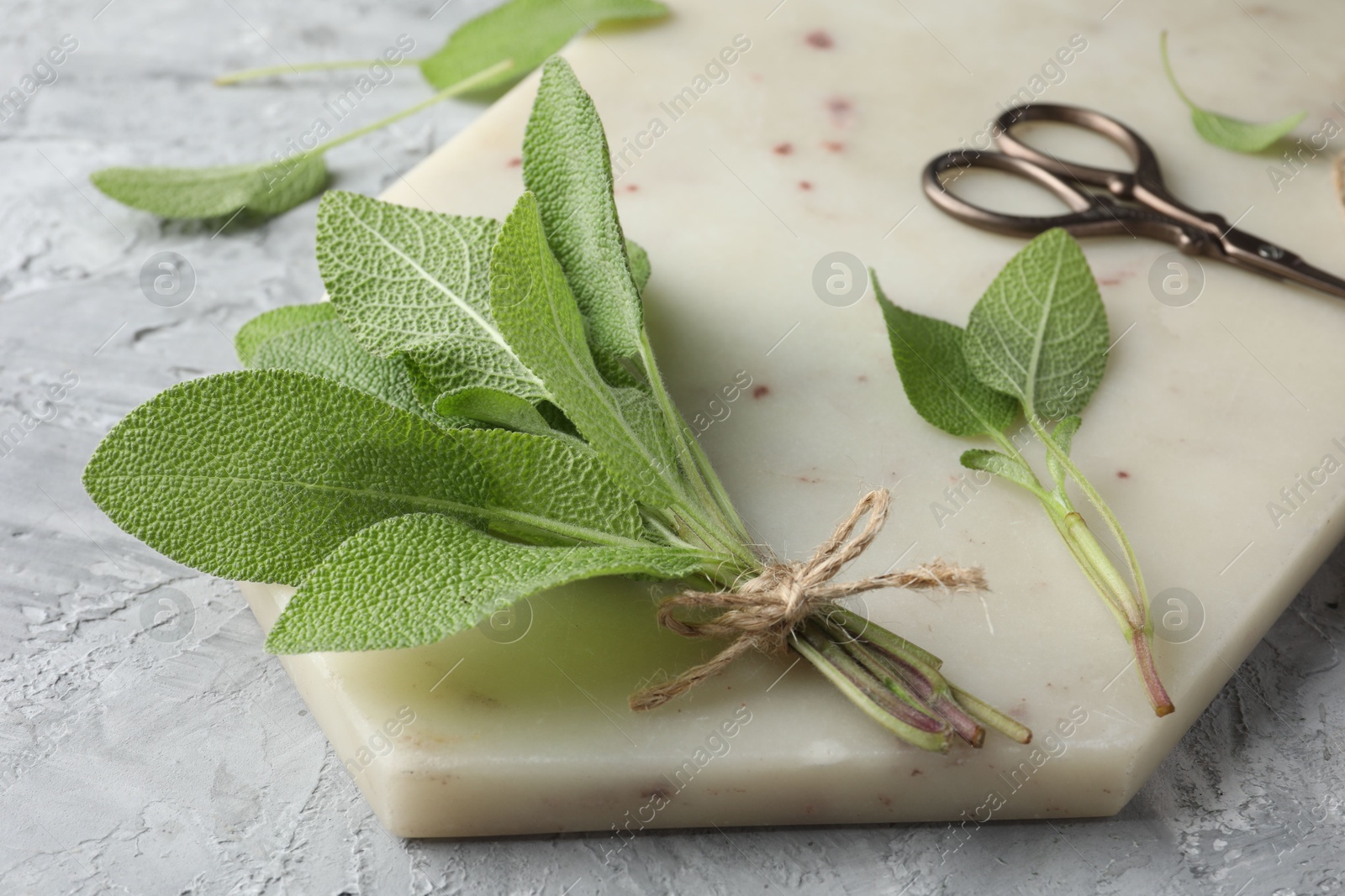 Photo of Bunch of fresh sage leaves and scissors on gray textured table, closeup