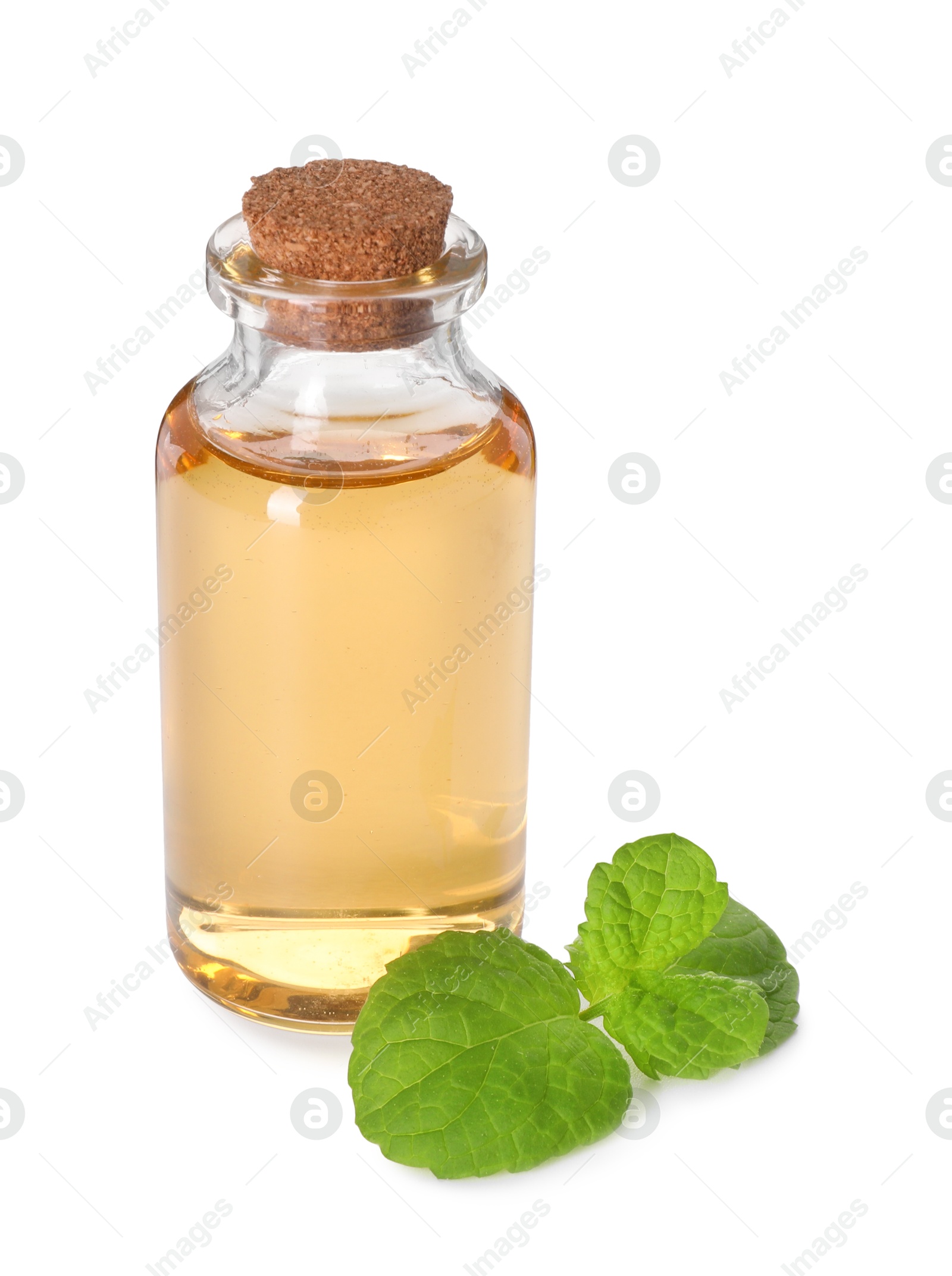 Photo of Bottle of essential oil and mint isolated on white