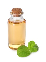 Photo of Bottle of essential oil and mint isolated on white