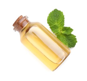 Bottle of essential oil and mint isolated on white, top view