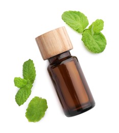 Photo of Bottle of essential oil and mint isolated on white, top view