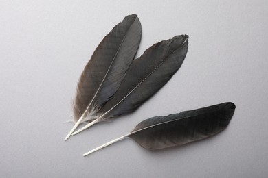 Black feathers on grey background, top view