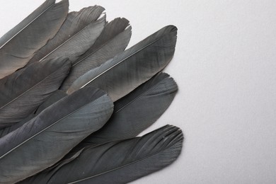 Photo of Black feathers on light background, top view. Space for text