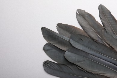 Photo of Black feathers on light background, top view. Space for text