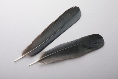 Photo of Black feathers on light background, top view