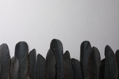 Photo of Black feathers on light background, flat lay. Space for text