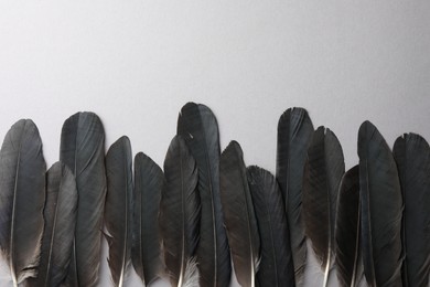 Black feathers on light background, flat lay. Space for text