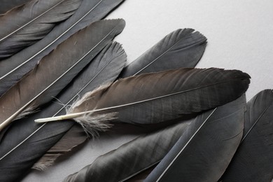 Photo of Black feathers on light background, above view