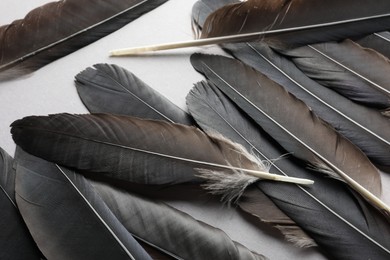 Photo of Black feathers on light background, above view