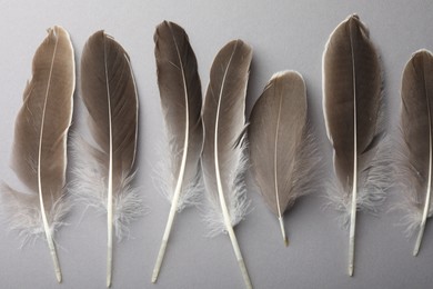 Photo of Beautiful feathers on grey background, flat lay